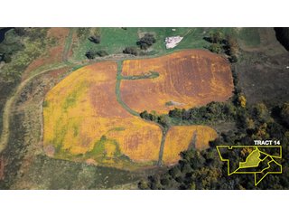 Property photo 47 - 1,153 +/- Acres offered in 15 TractsLAND AUCTION